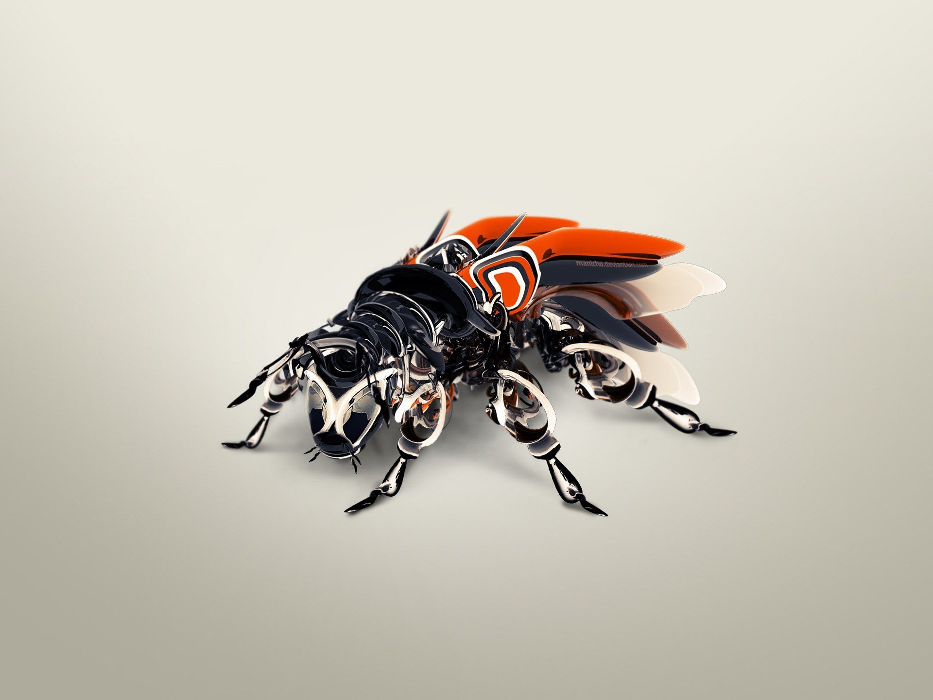 bug, Artwork Wallpaper