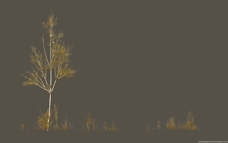minimalistic, Trees HD Wallpaper Desktop Background