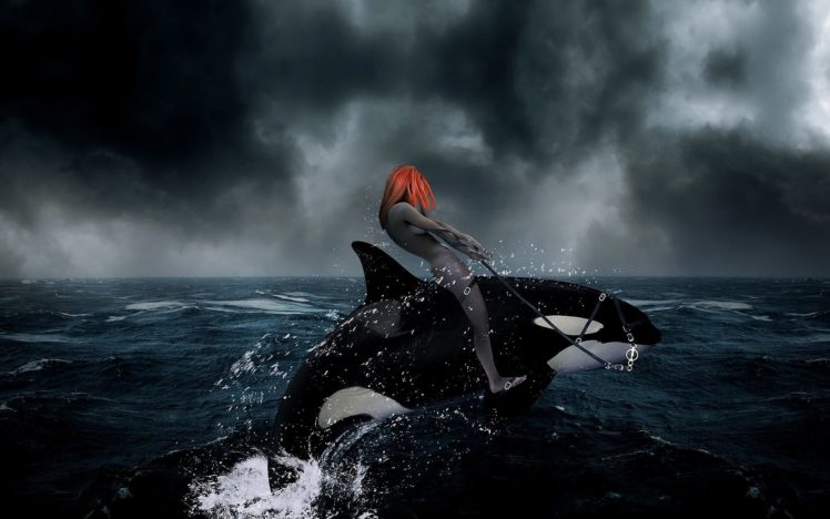 artwork, Killer, Whales, Riding HD Wallpaper Desktop Background
