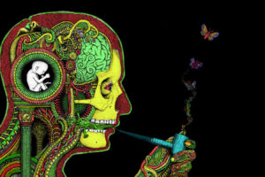 art, Dark, Skull, Psychedelic, Butterfly, Mood, Marijuana, Anatomy