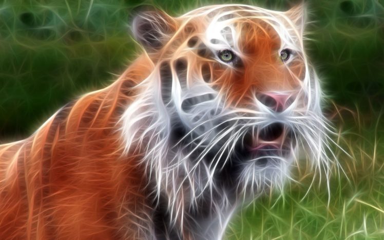 animals, Tigers, Fractalius HD Wallpaper Desktop Background