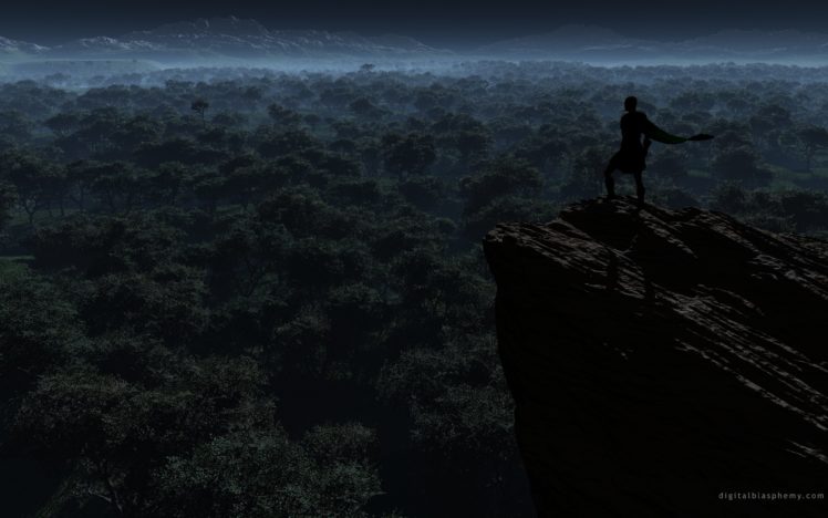 night, Forests, Cliffs HD Wallpaper Desktop Background