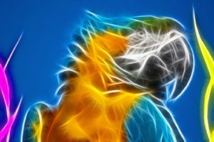 birds, Fractalius, Parrots, Blue and yellow, Macaws