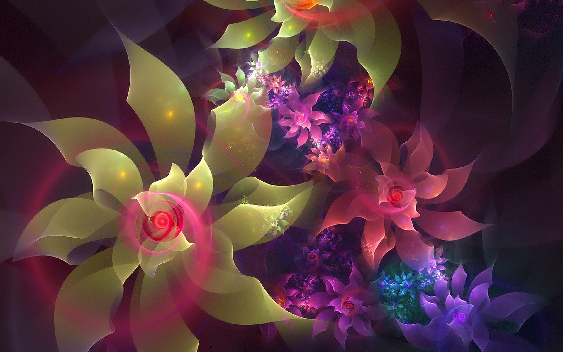 abstract, Flowers Wallpaper