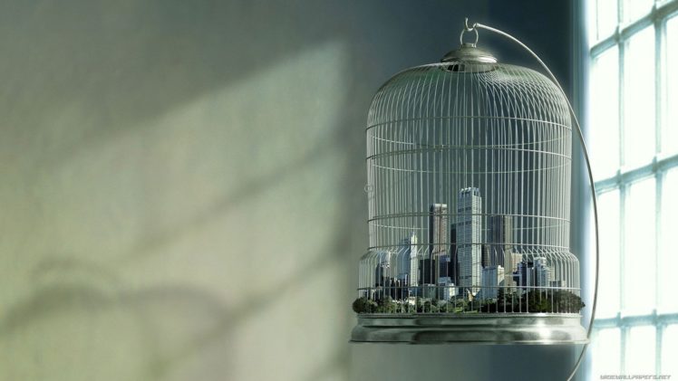birdcage, Cage, Cities HD Wallpaper Desktop Background