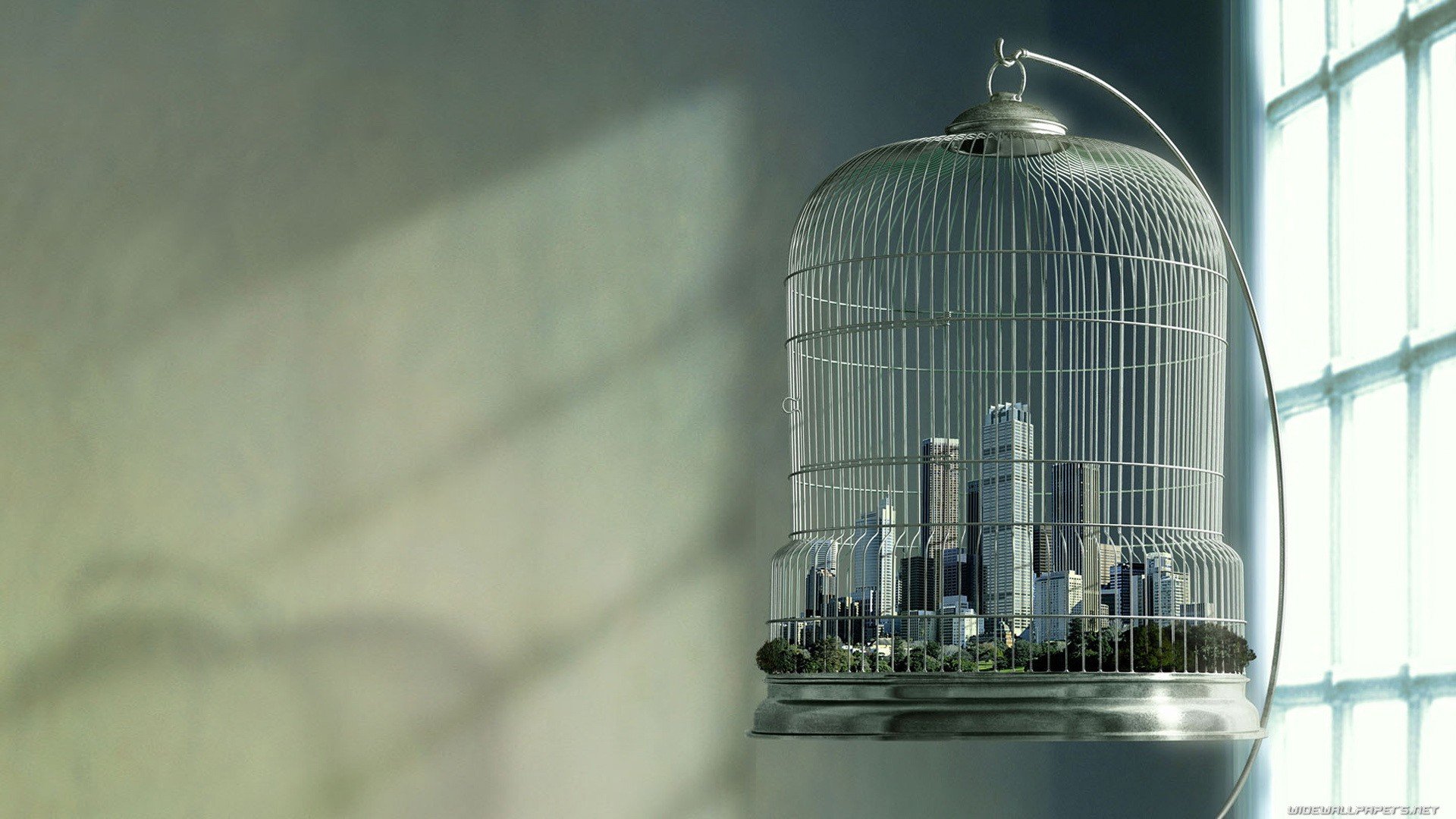 birdcage, Cage, Cities Wallpaper
