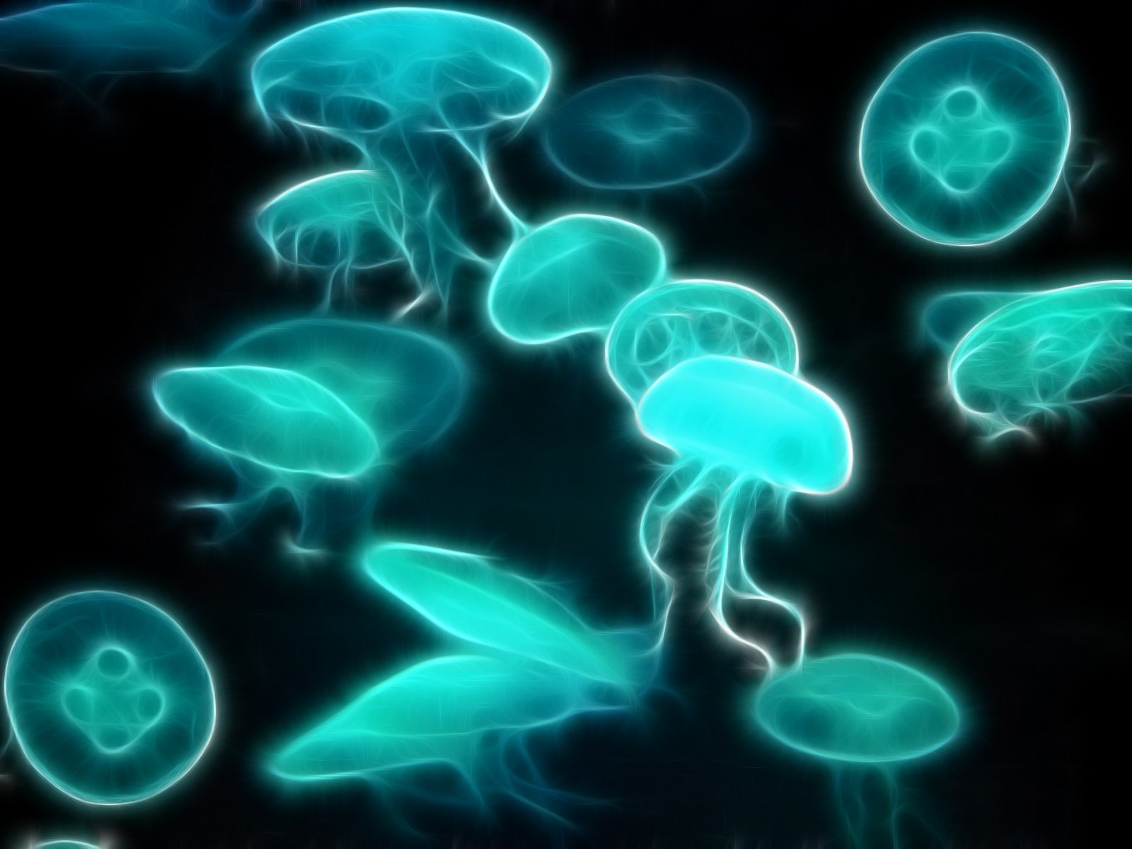 fractalius, Jellyfish, Underwater Wallpaper