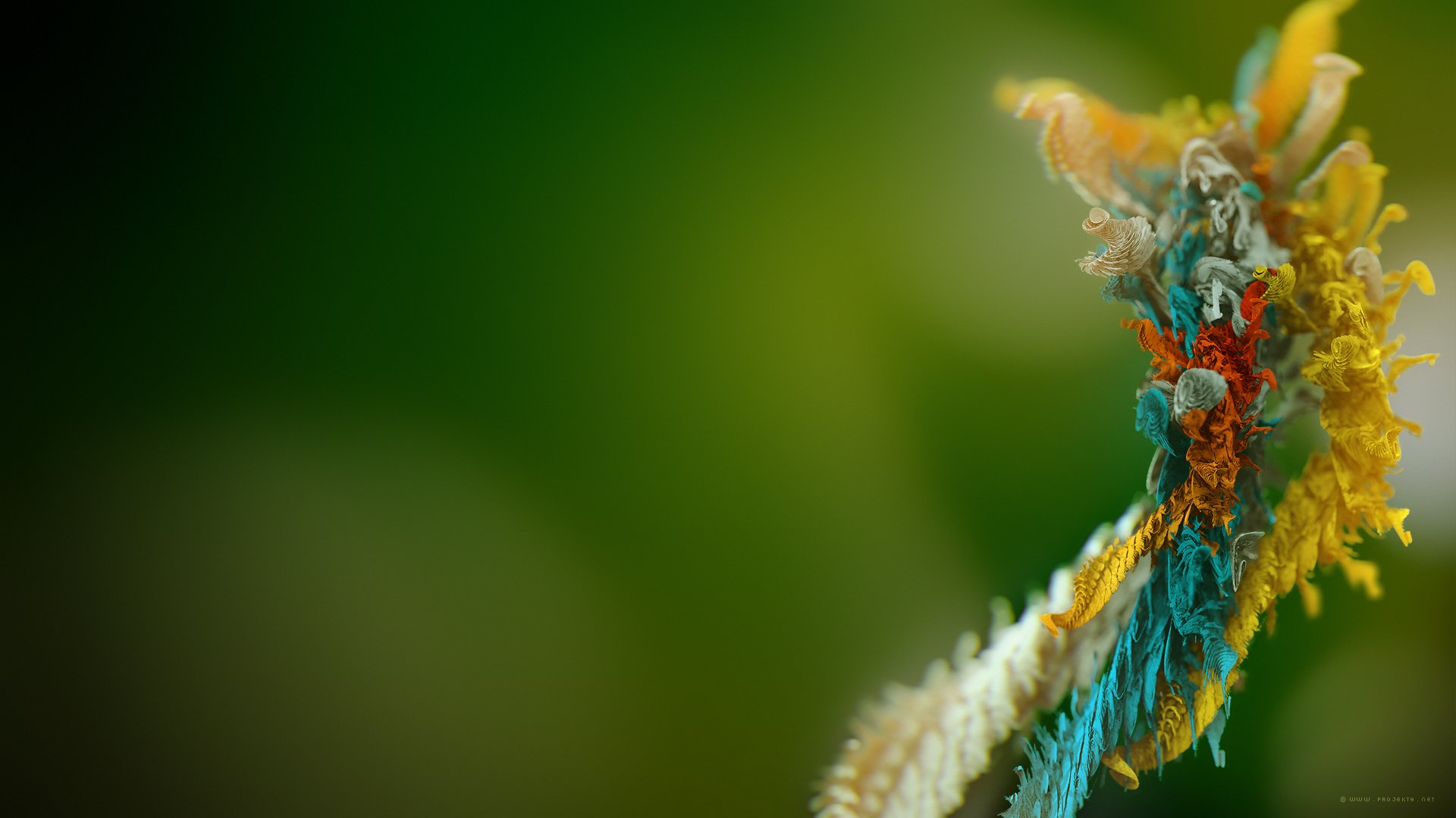 macro Wallpaper