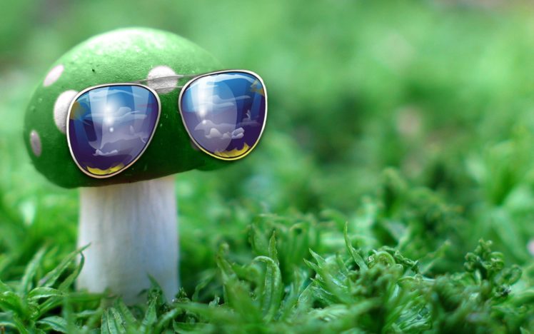 green, Nature, Grass, Mushrooms, Sunglasses HD Wallpaper Desktop Background