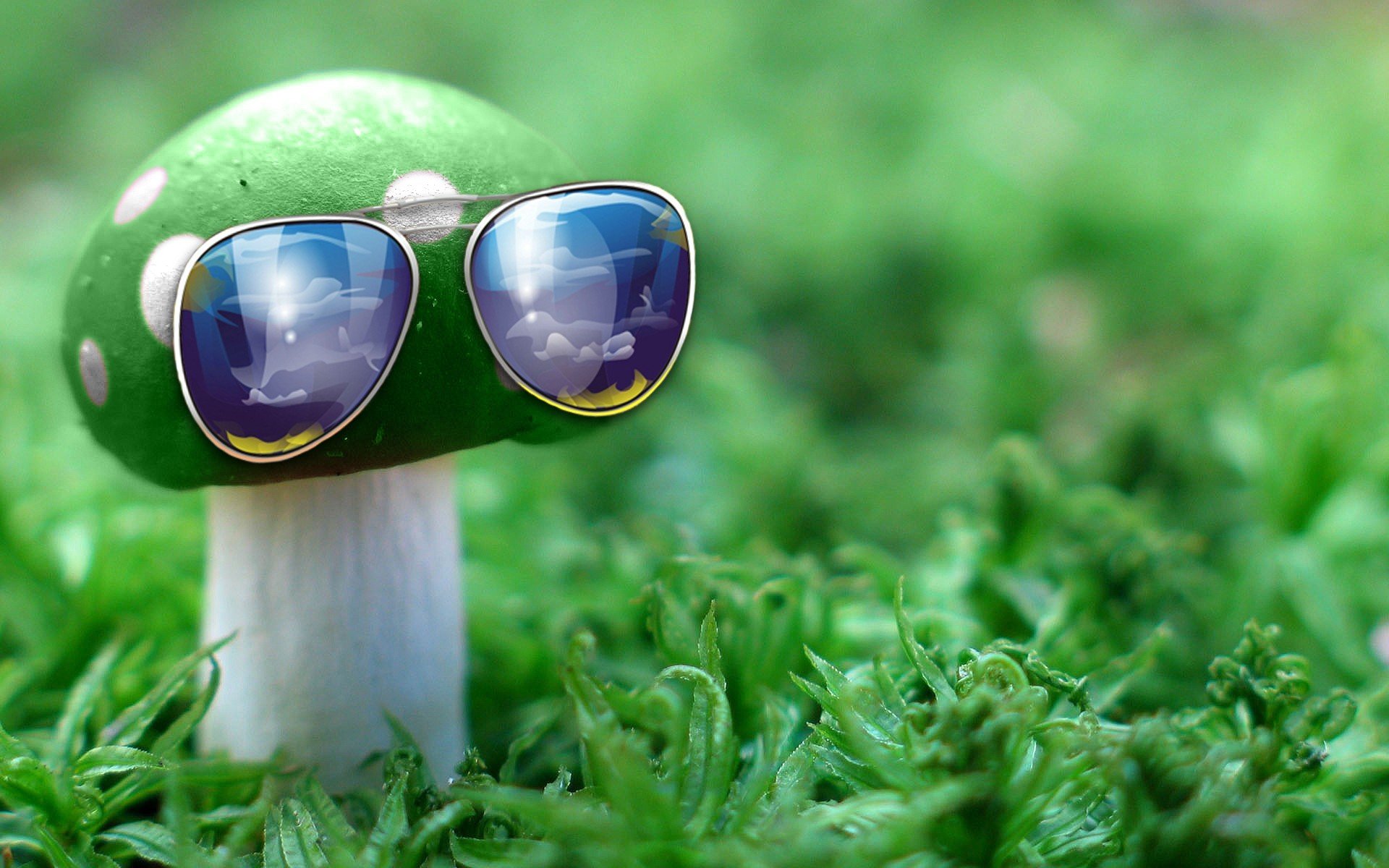 green, Nature, Grass, Mushrooms, Sunglasses Wallpaper