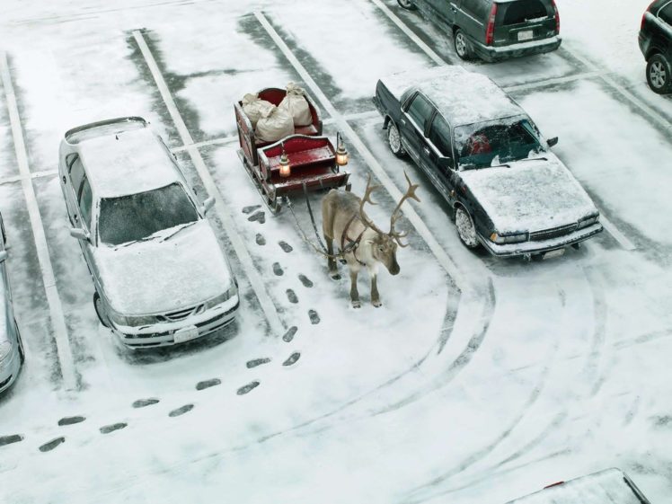 snow, Holidays, Reindeer, Sleds HD Wallpaper Desktop Background