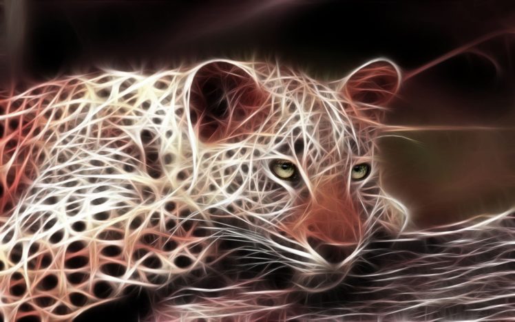 fractalius, Leopards HD Wallpaper Desktop Background