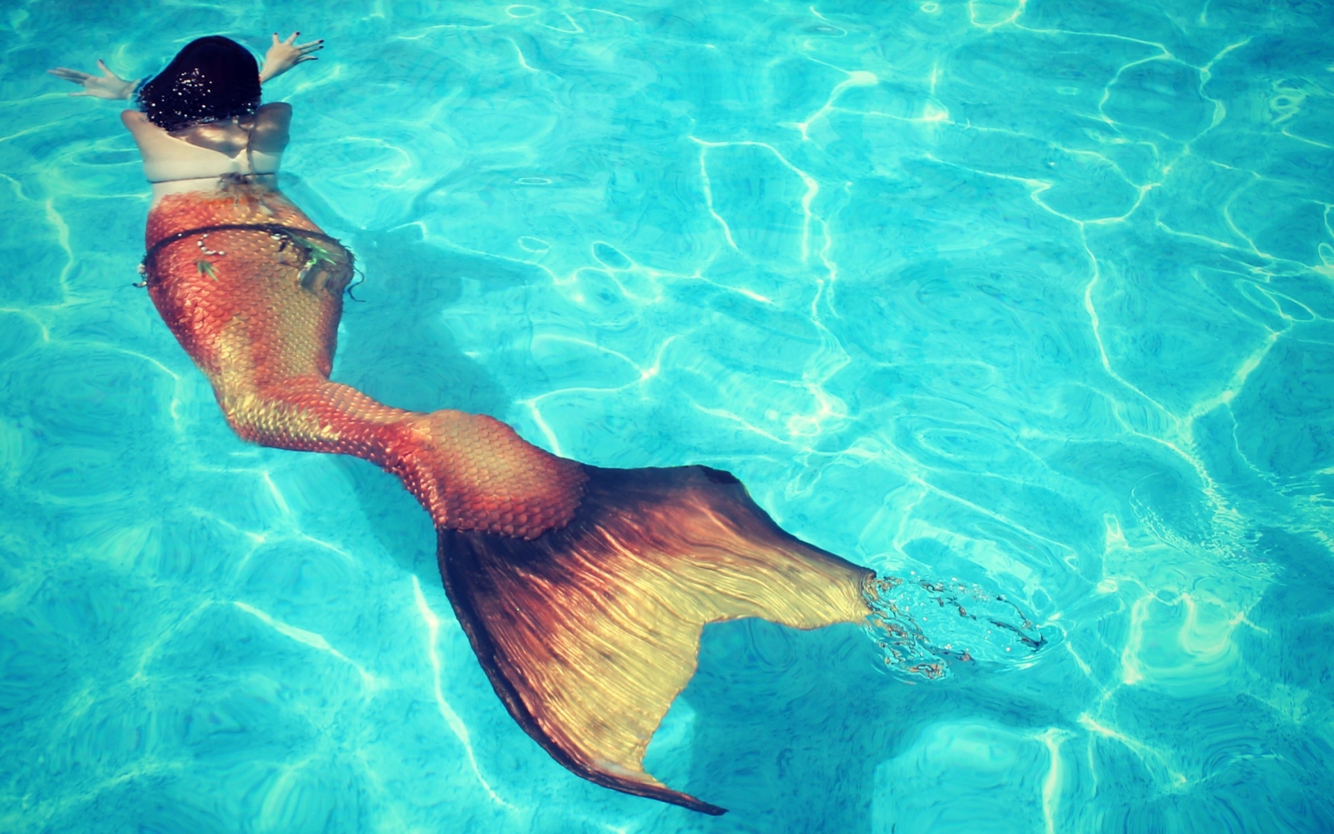 women, Mermaid, Fantasy, Fishes Wallpaper