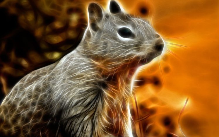 animals, Fractalius, Squirrels HD Wallpaper Desktop Background