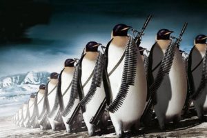 animals, Linux, Tux, Penguins