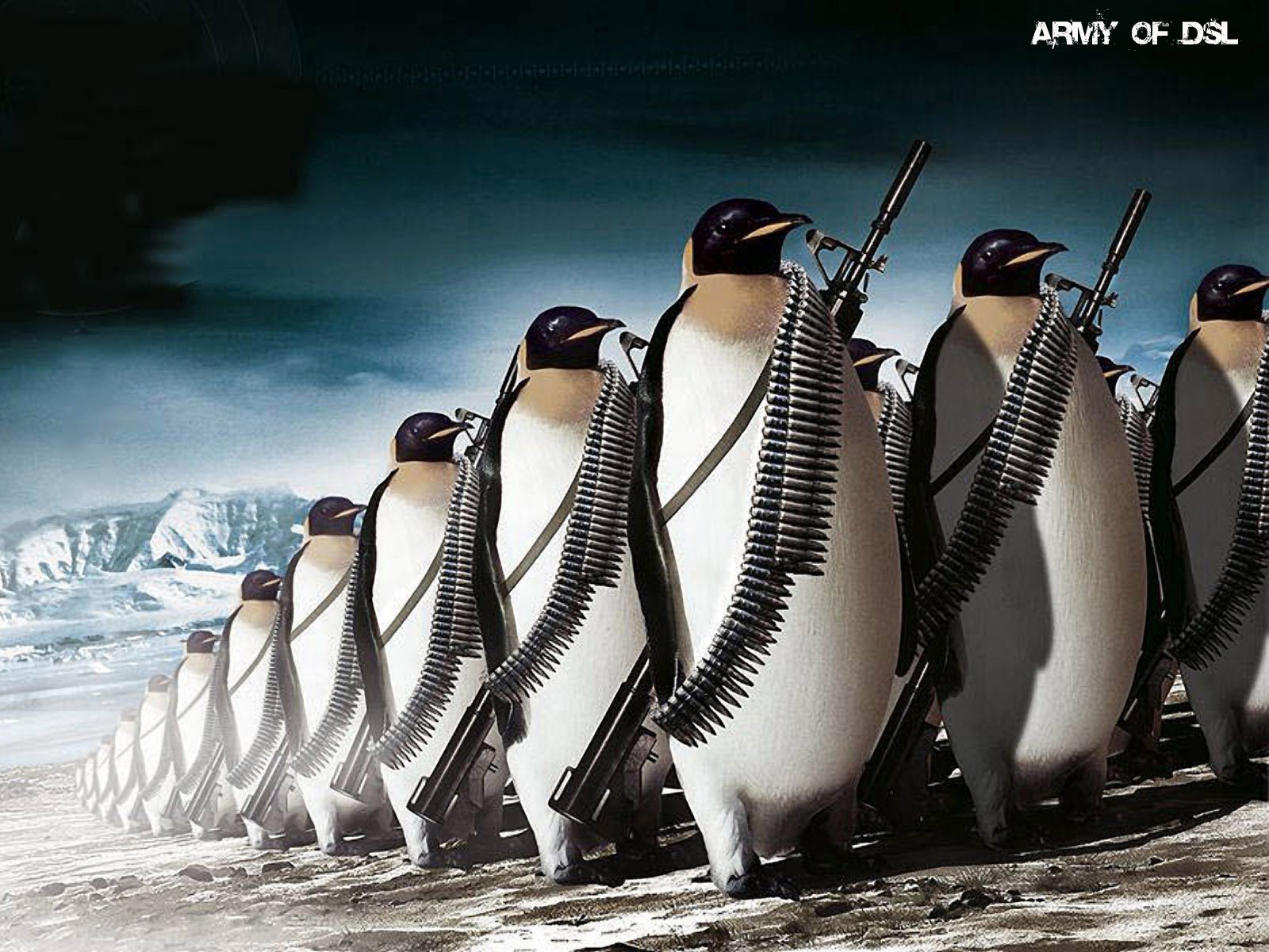 animals, Linux, Tux, Penguins Wallpaper