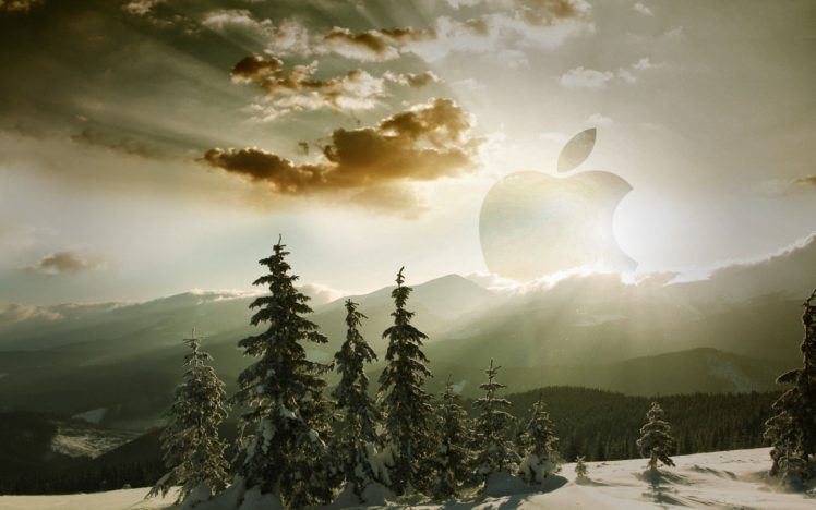 apples, Evening HD Wallpaper Desktop Background