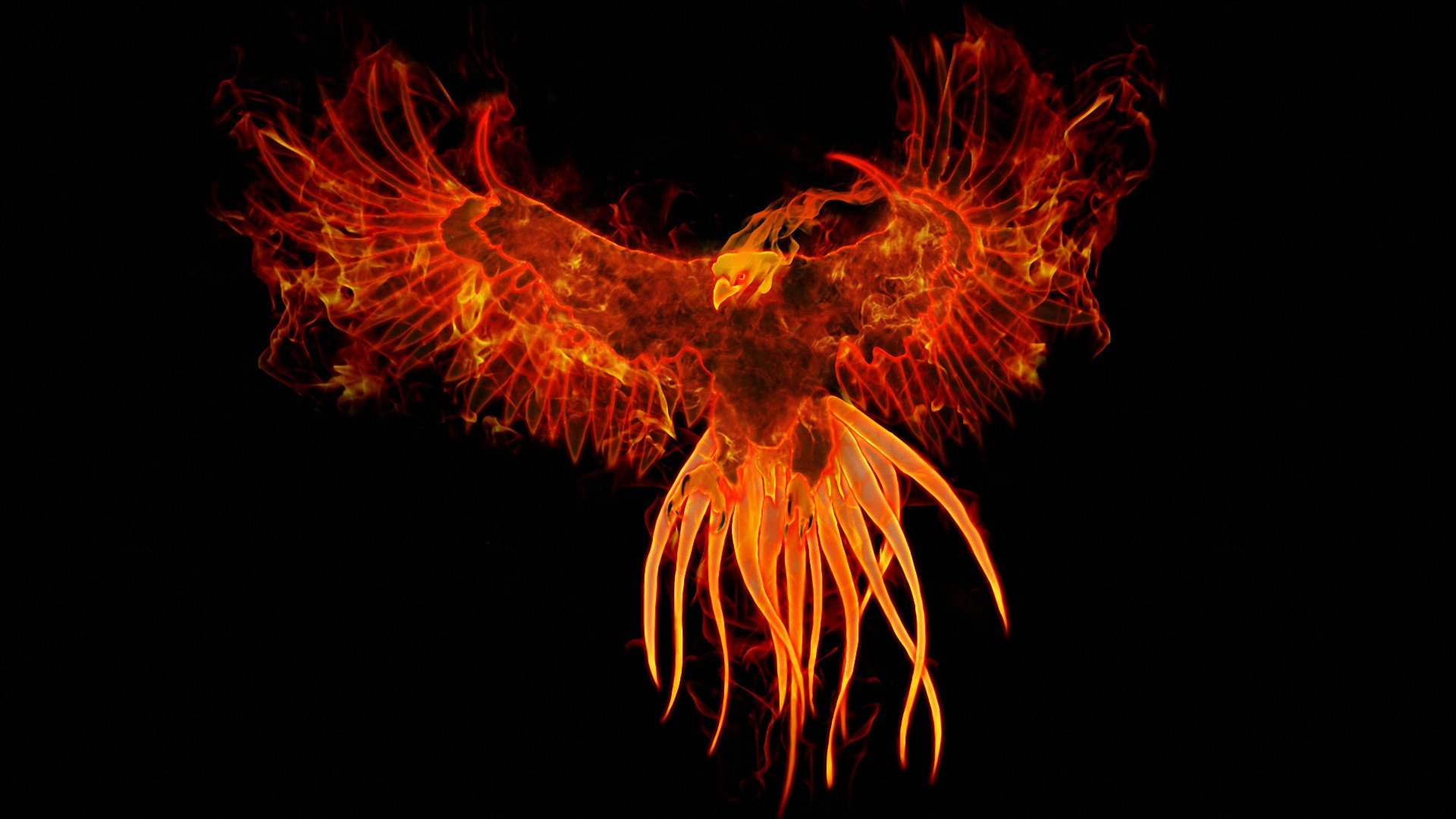 birds, Fire, Phoenix, Fantasy, Art, Digital, Art, Artwork, Mythology Wallpaper