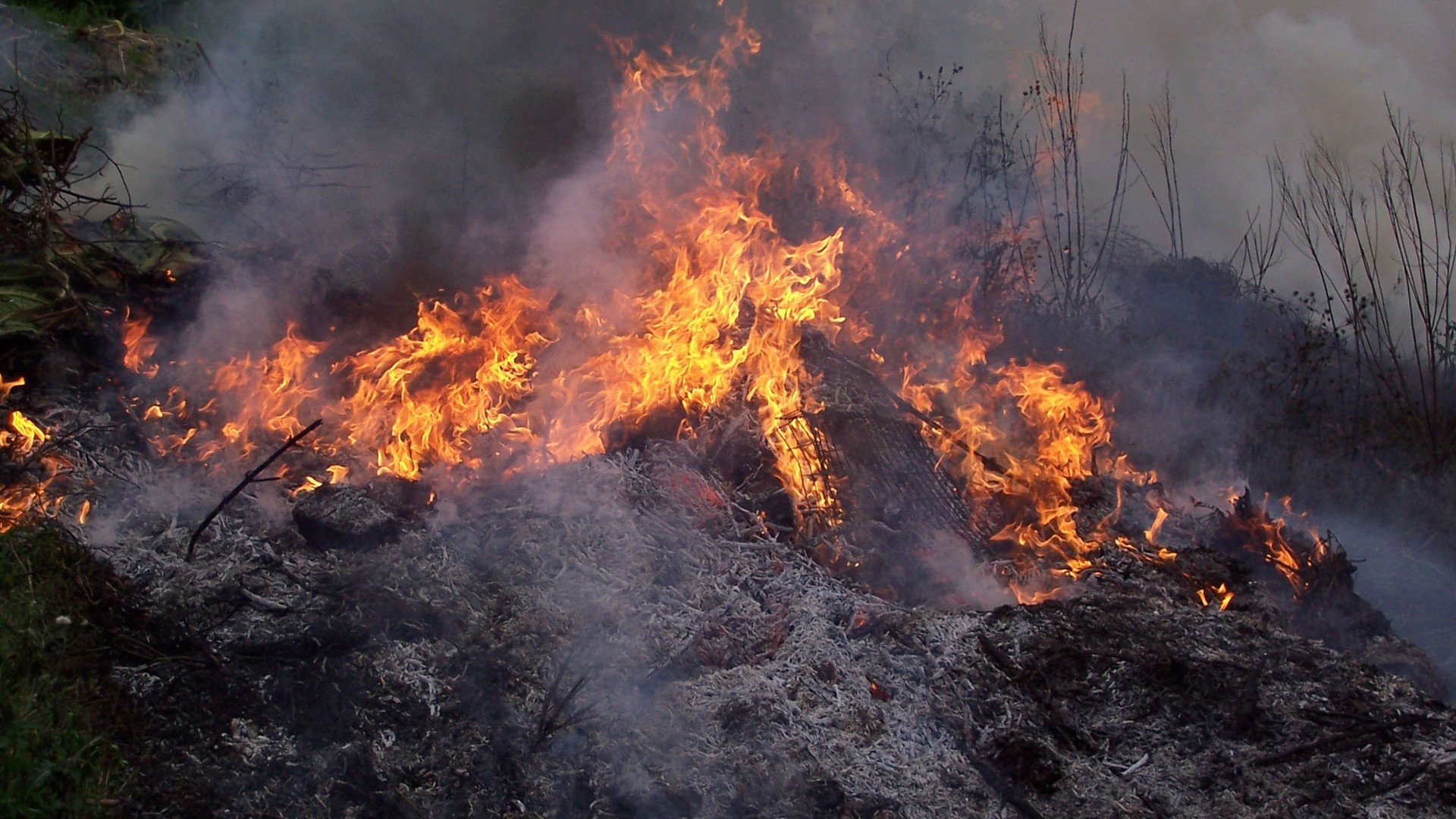 fire Wallpaper