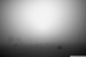 fog, Mist