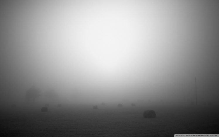 fog, Mist HD Wallpaper Desktop Background