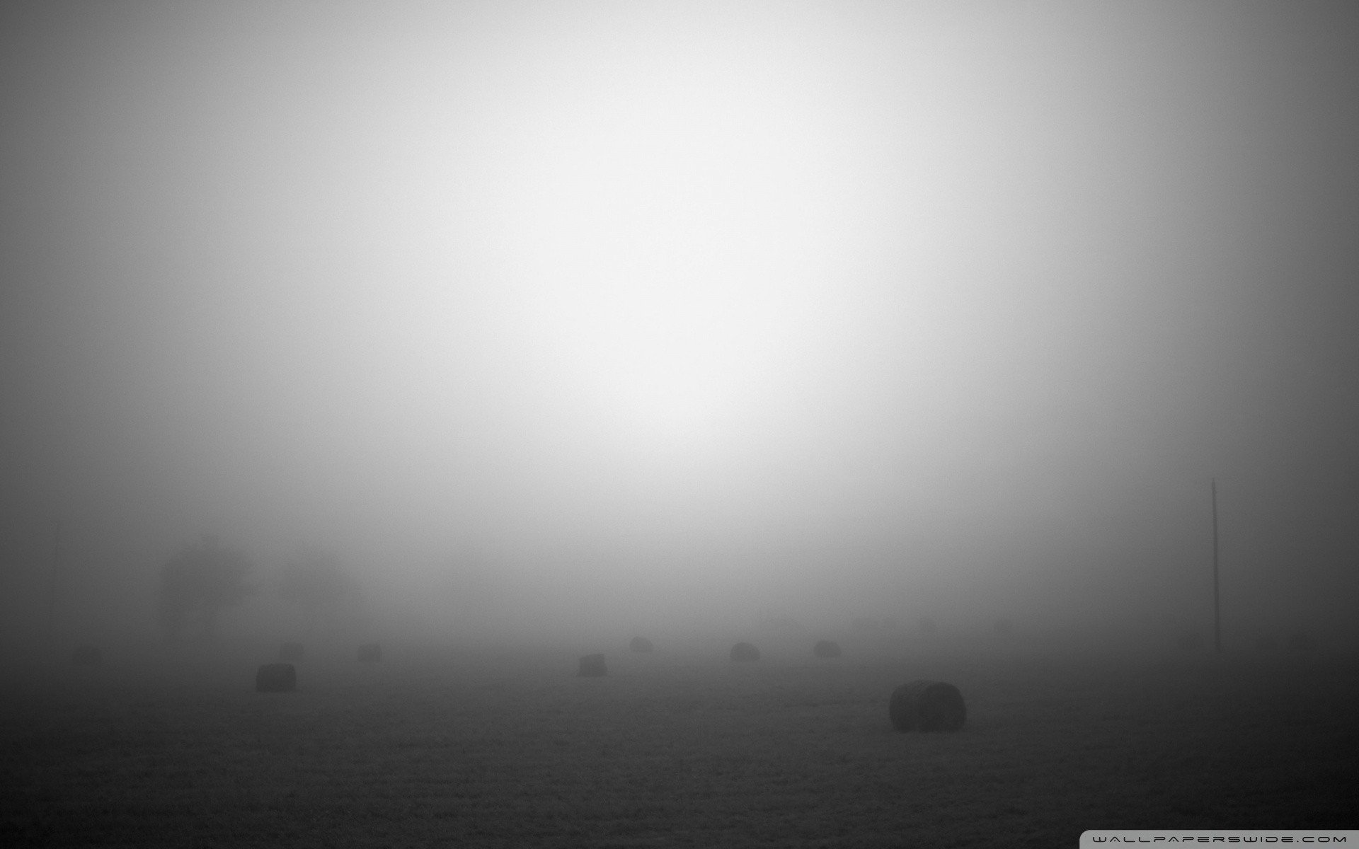 fog, Mist Wallpaper