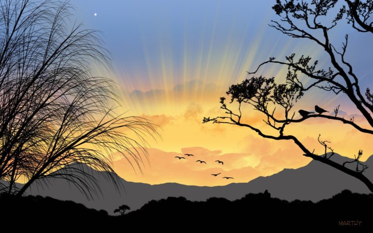 sunrise, Trees, Silhouettes HD Wallpaper Desktop Background