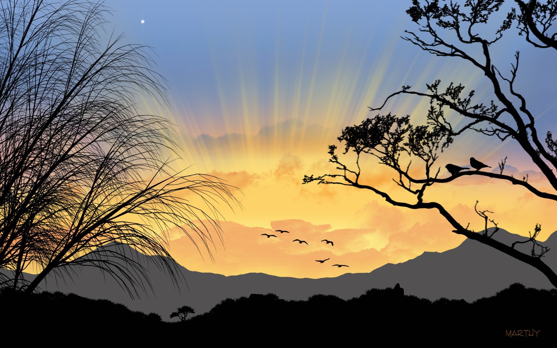 sunrise, Trees, Silhouettes Wallpaper
