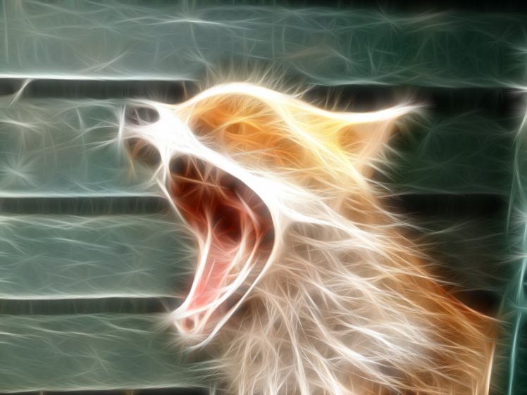 animals, Fractalius, Foxes HD Wallpaper Desktop Background