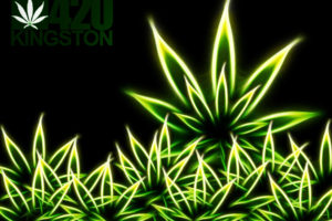 420, Mj, Weed, Marijuana, Leaves