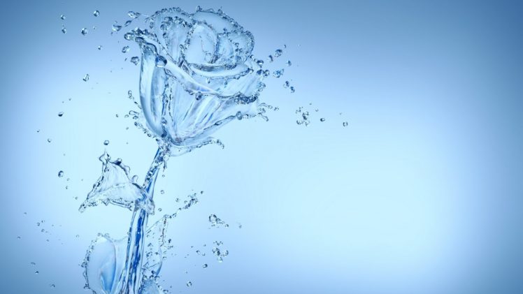 water, Roses HD Wallpaper Desktop Background