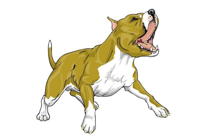 dogs, Animated, Bull, Pitbull HD Wallpaper Desktop Background