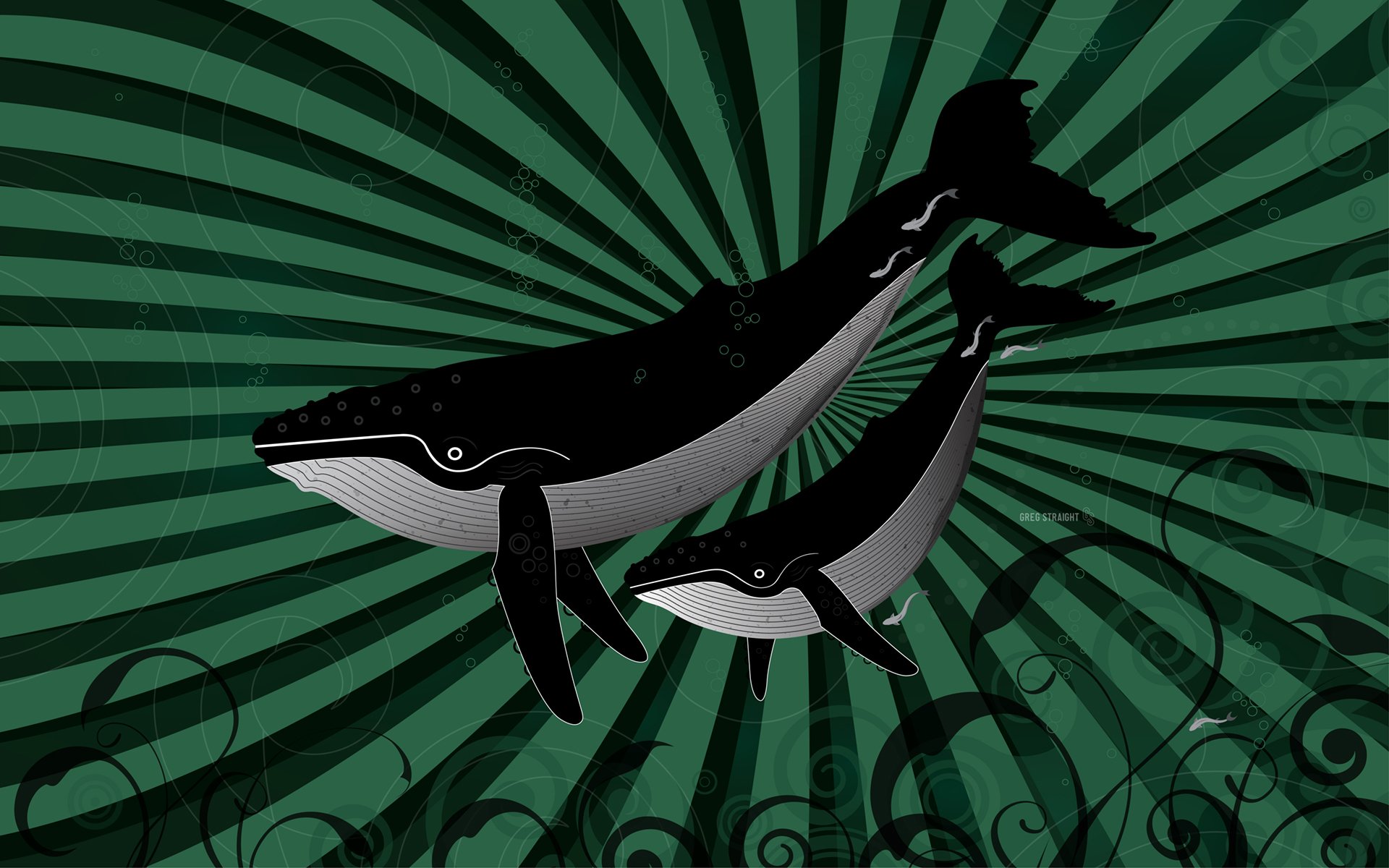 whales Wallpaper