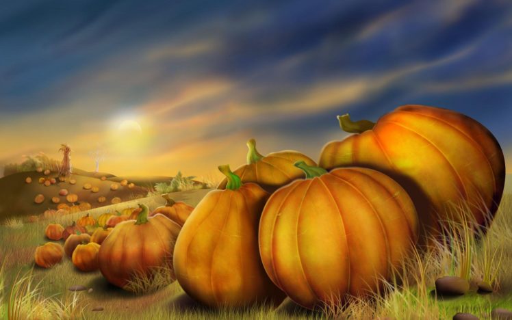 nature, Pumpkins HD Wallpaper Desktop Background