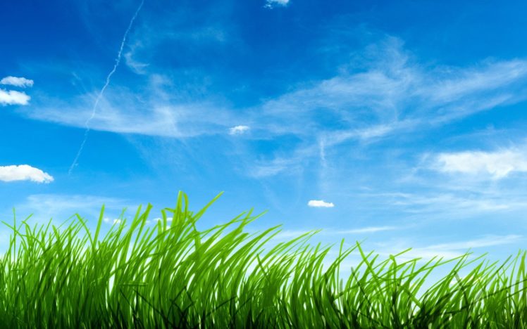 clouds, Grass, Skyscapes HD Wallpaper Desktop Background