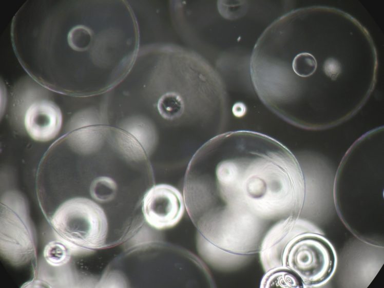 bubbles, Grayscale HD Wallpaper Desktop Background