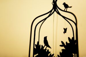 birds, Silhouettes, Cage, Simple, Background