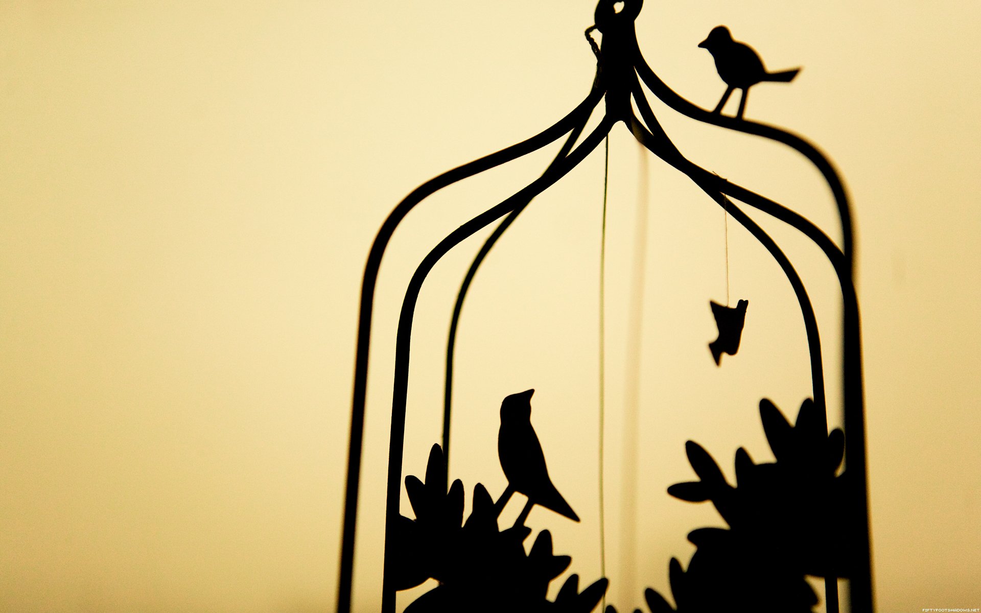 birds, Silhouettes, Cage, Simple, Background Wallpaper
