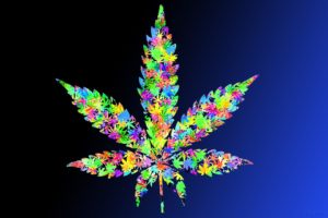 leaf, Drugs, Leaves, Marijuana, Weeds