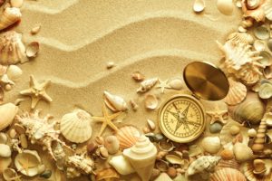 beach, Sand, Shell, Compass, Travel, Bokeh