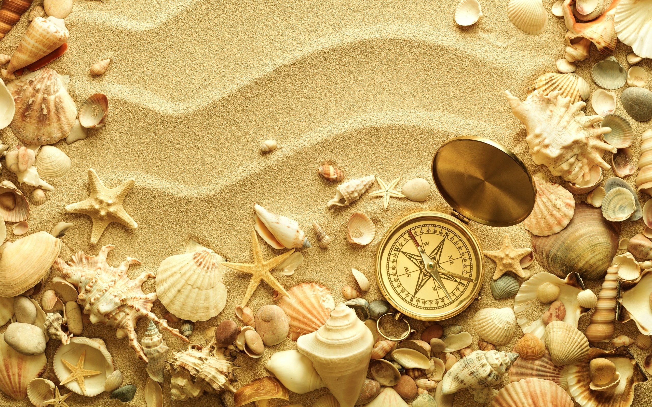 beach, Sand, Shell, Compass, Travel, Bokeh Wallpaper