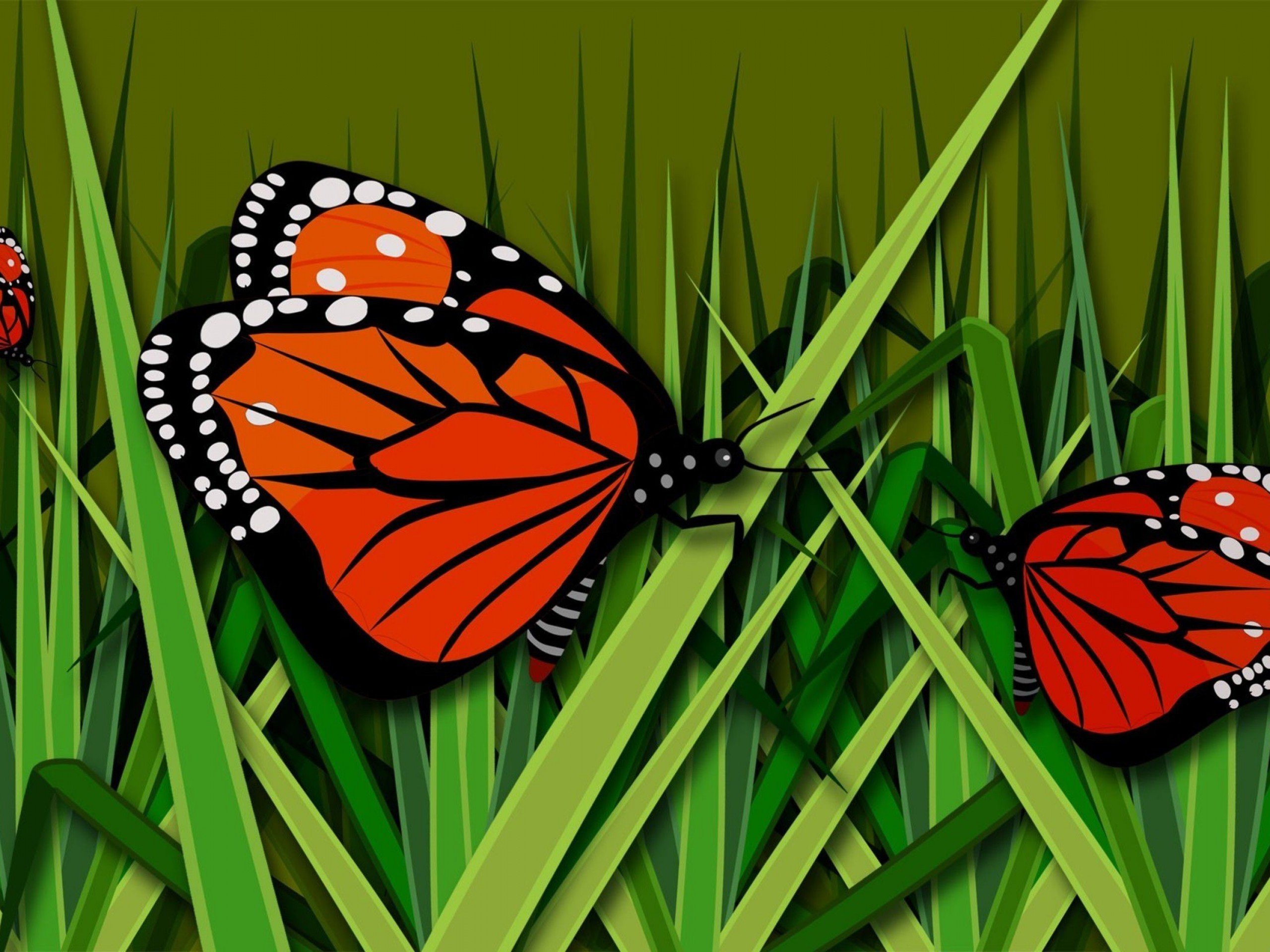 butterflies Wallpaper