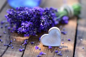 bouquet, Lavender, Desk, Heart, Love, Mood