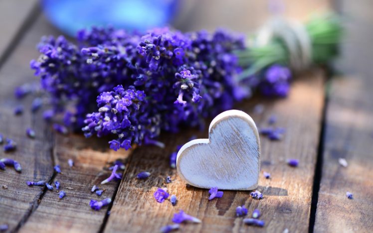 bouquet, Lavender, Desk, Heart, Love, Mood HD Wallpaper Desktop Background