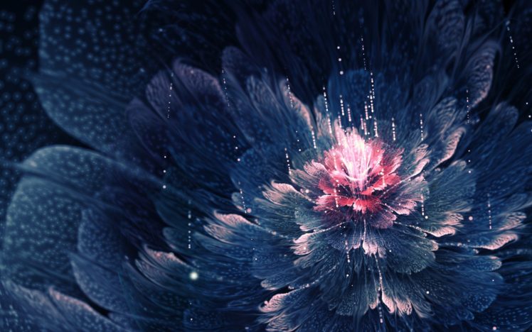 flower, Abstrac, Lines, Red, Blue, Flor, Plant HD Wallpaper Desktop Background