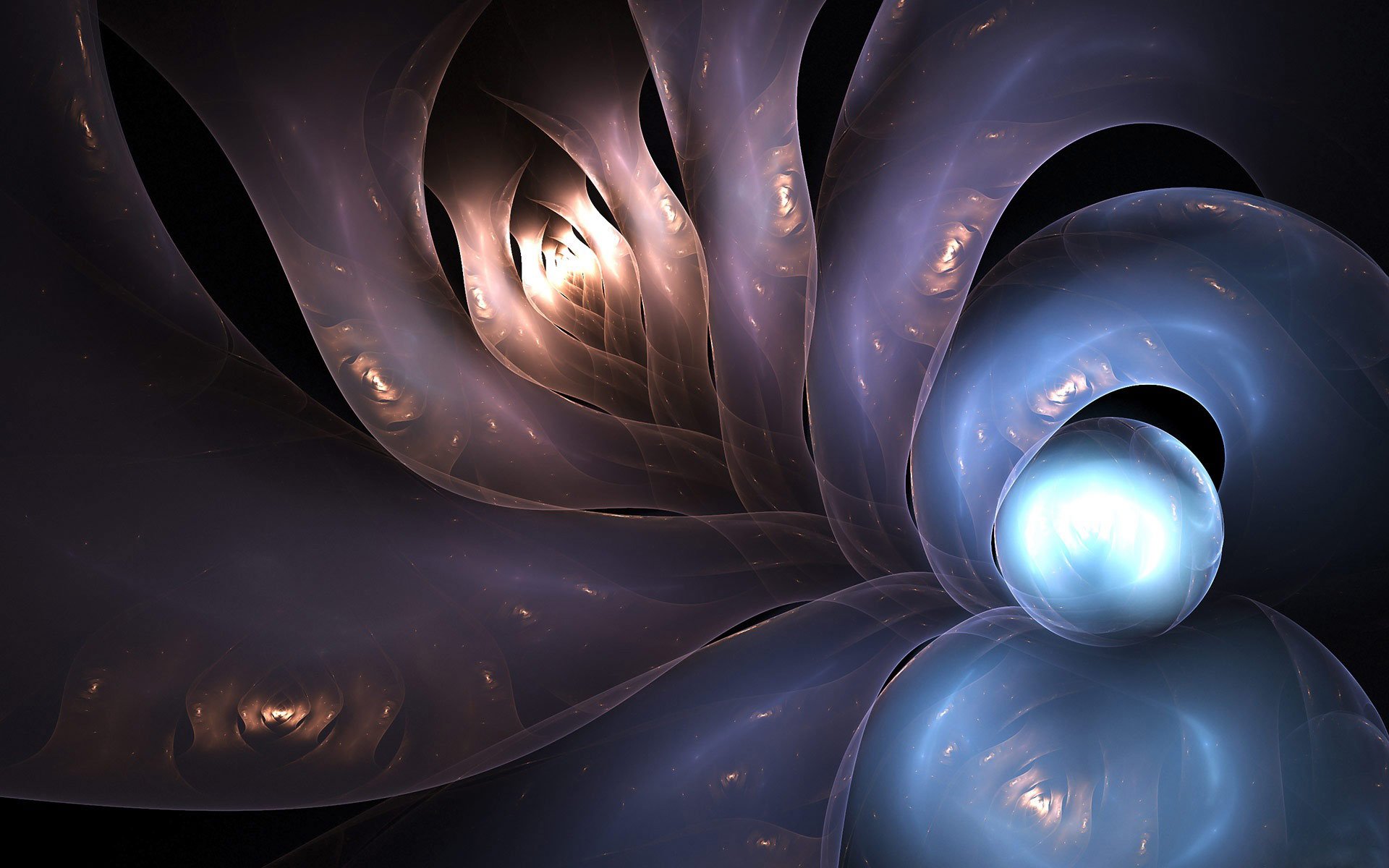 octopus, Sealife, Underwater, Ocean, Sea, Art, Artwork, Fractal, Abstract, Abstraction Wallpaper