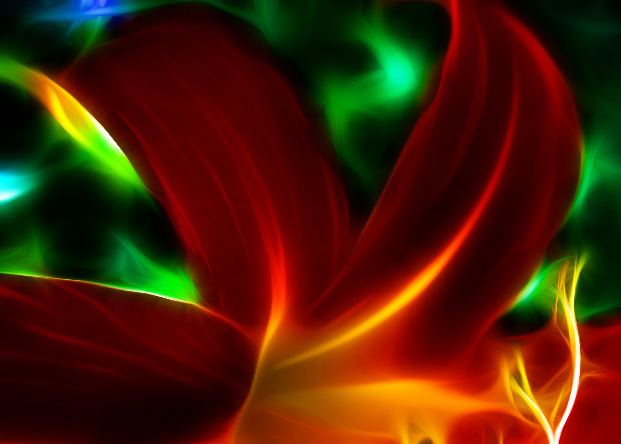 nature, Art, Flowers, Cats, Fractal, Colors, Wallpaper Wallpaper