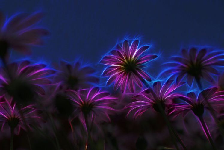 nature, Art, Flowers, Cats, Fractal, Colors, Wallpaper HD Wallpaper Desktop Background