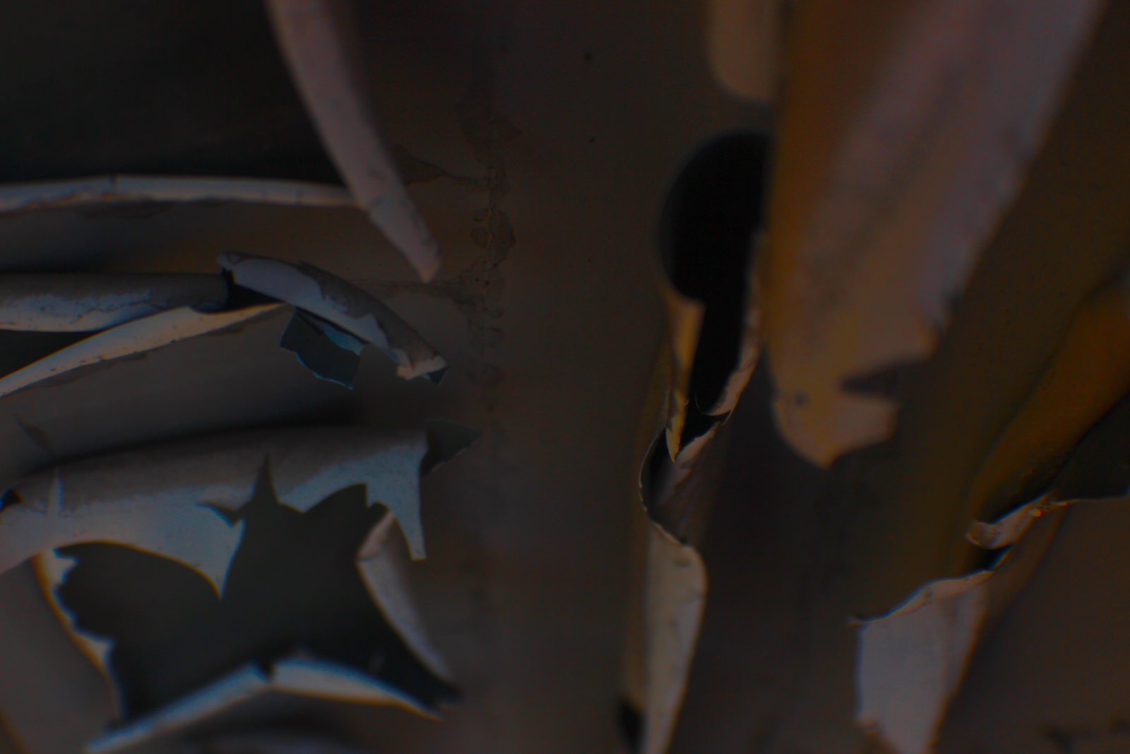 art, Fractal, Digital, Colors, Texture, Wallpaper Wallpaper