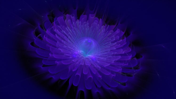 flower, Fractal, Blue HD Wallpaper Desktop Background